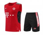 Camiseta Bayern Munich Chaleco Rojo Bm33 2022/2023