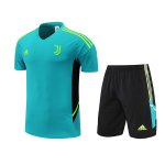 Camiseta Juventus Entrenamiento Verde Ju31 2022/2023