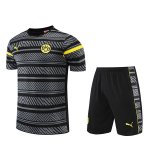 Camiseta Dortmund Entrenamiento Gris Dt03 2022/2023