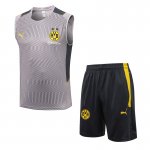Camiseta Dortmund Chaleco Gris Dt11 2022/2023